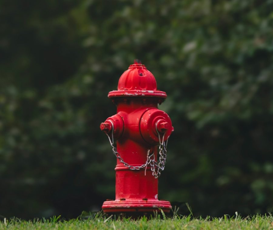 obscura-odessey-eS2zpPciOv8-unsplash obscura-odessey-eS2zpPciOv8-unsplash